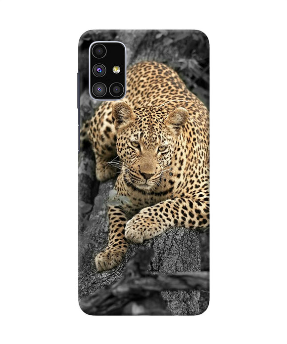 Sitting Leopard Samsung M51 Back Cover