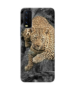 Sitting leopard Vivo Y20/Y20i Back Cover