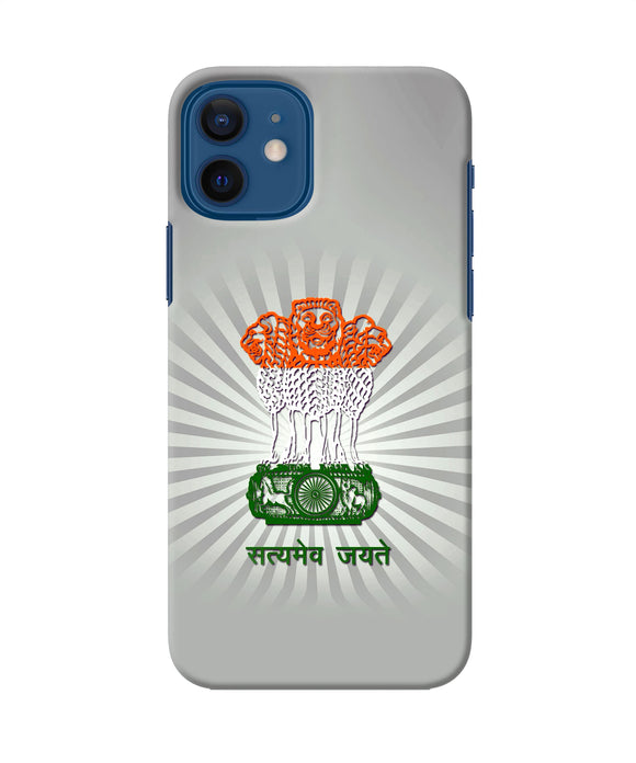 Satyamev Jayate Art iPhone 12 Back Cover