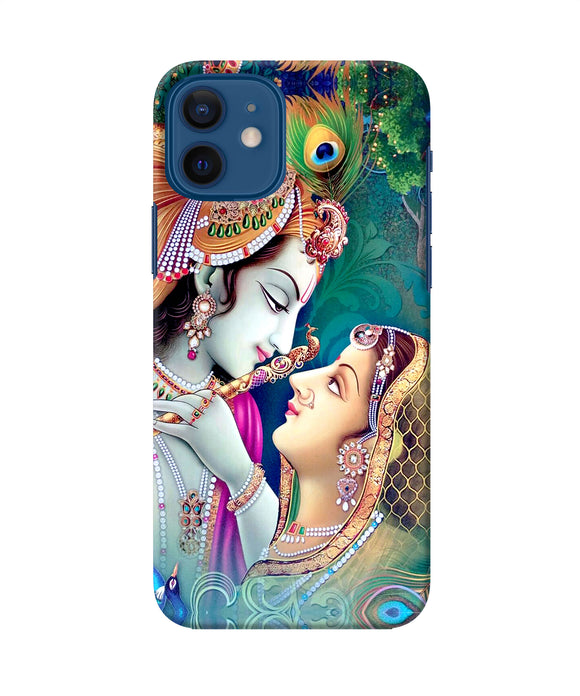 Lord Radha Krishna Paint Iphone 12 Back Cover