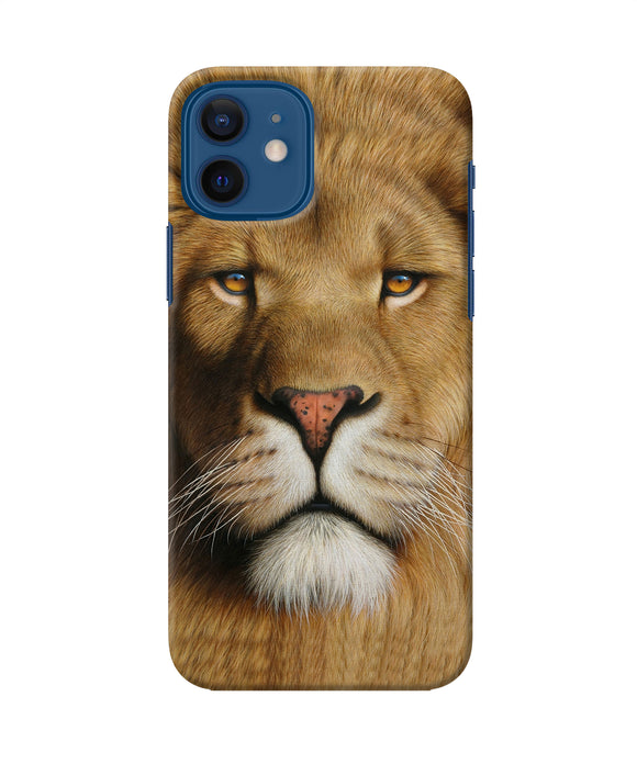 Nature Lion Poster Iphone 12 Back Cover