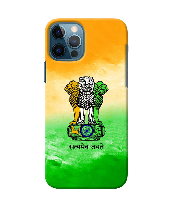Satyamev Jayate Flag iPhone 12 Pro Back Cover