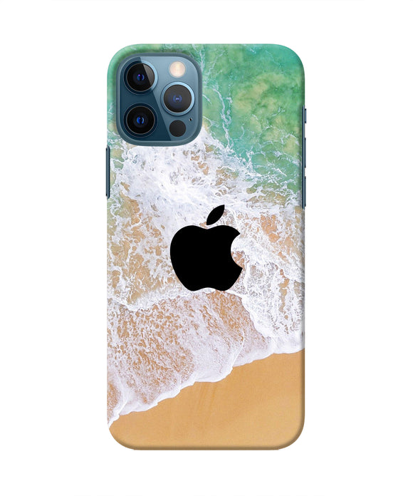 Apple Ocean Iphone 12 Pro Real 4D Back Cover