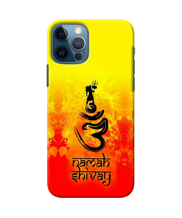 Om Namah Shivay Iphone 12 Pro Back Cover