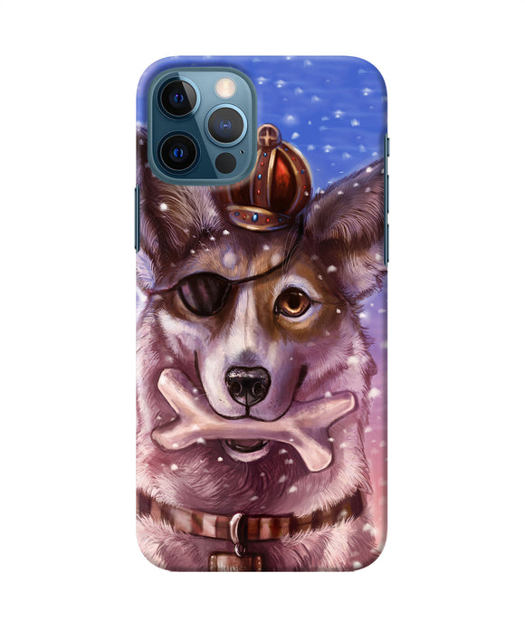 Pirate Wolf Iphone 12 Pro Back Cover