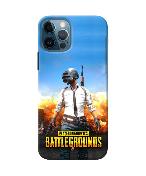 Pubg Poster Iphone 12 Pro Back Cover