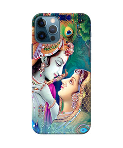 Lord Radha Krishna Paint Iphone 12 Pro Back Cover