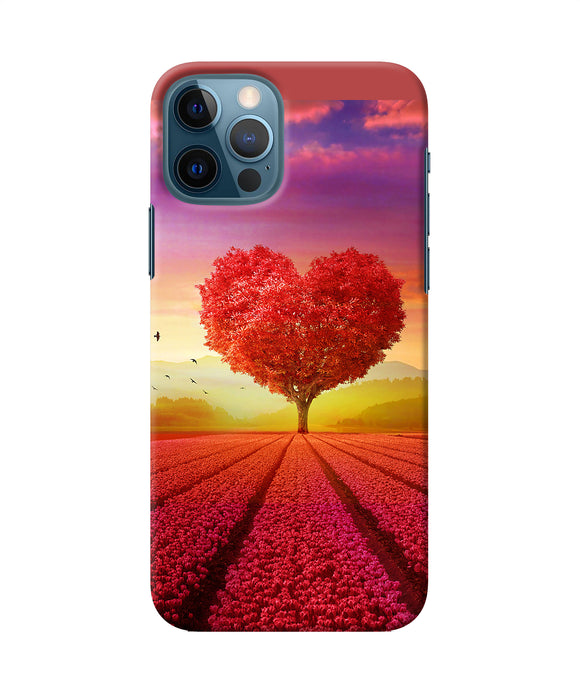 Natural Heart Tree Iphone 12 Pro Back Cover