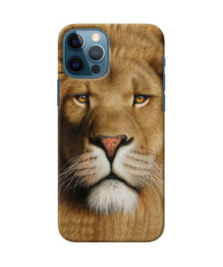 Nature Lion Poster Iphone 12 Pro Back Cover