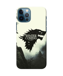 Winter Coming Stark Iphone 12 Pro Back Cover