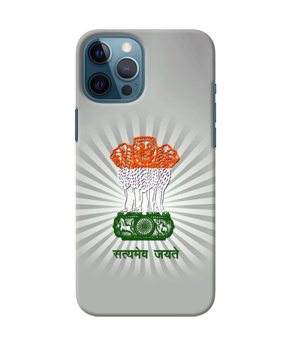 Satyamev Jayate Art iPhone 12 Pro Max Back Cover