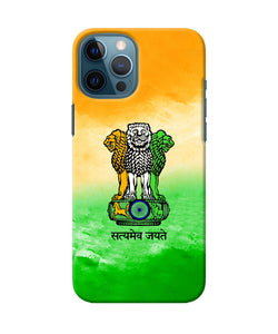Satyamev Jayate Flag iPhone 12 Pro Max Back Cover