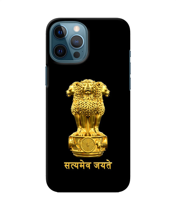 Satyamev Jayate Golden iPhone 12 Pro Max Back Cover