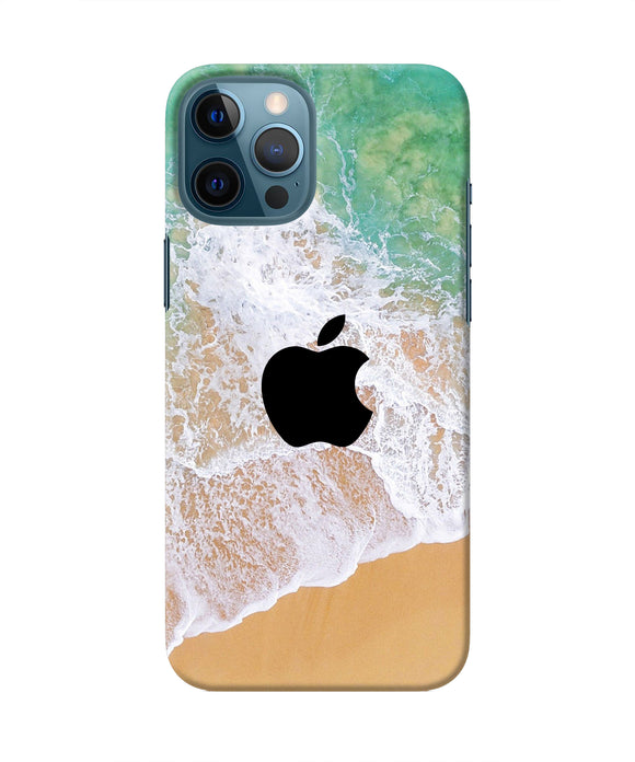 Apple Ocean Iphone 12 Pro Max Real 4D Back Cover