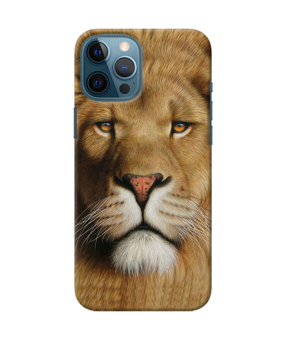 Nature Lion Poster Iphone 12 Pro Max Back Cover