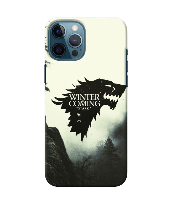 Winter Coming Stark Iphone 12 Pro Max Back Cover