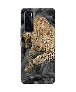 Sitting leopard Vivo V20 SE Back Cover