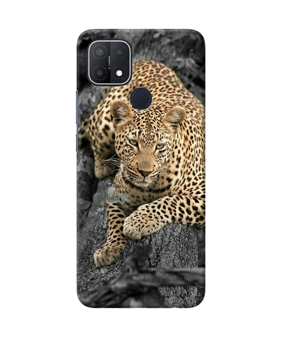 Sitting leopard Oppo A15/A15s Back Cover