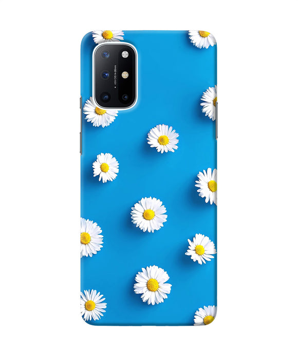 White flowers Oneplus 8T Back Cover