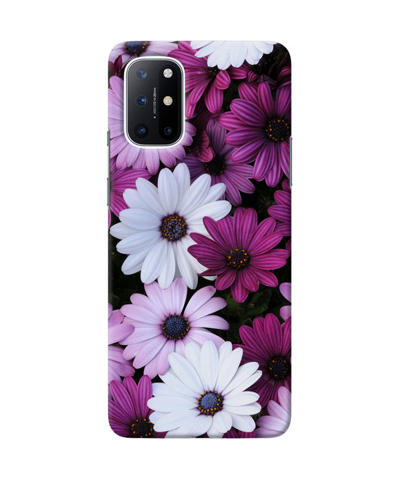 White violet flowers Oneplus 8T Back Cover