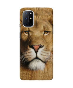 Nature lion poster Oneplus 8T Back Cover