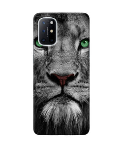 Lion poster Oneplus 8T Back Cover