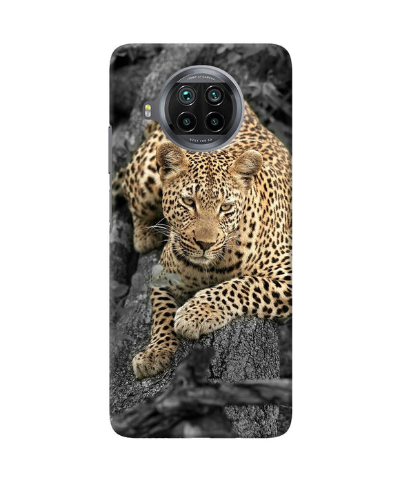 Sitting leopard Mi 10i Back Cover