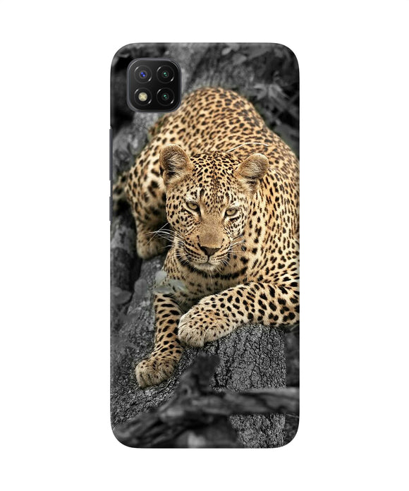 Sitting leopard Poco C3 Back Cover