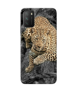 Sitting leopard Poco M3 Back Cover