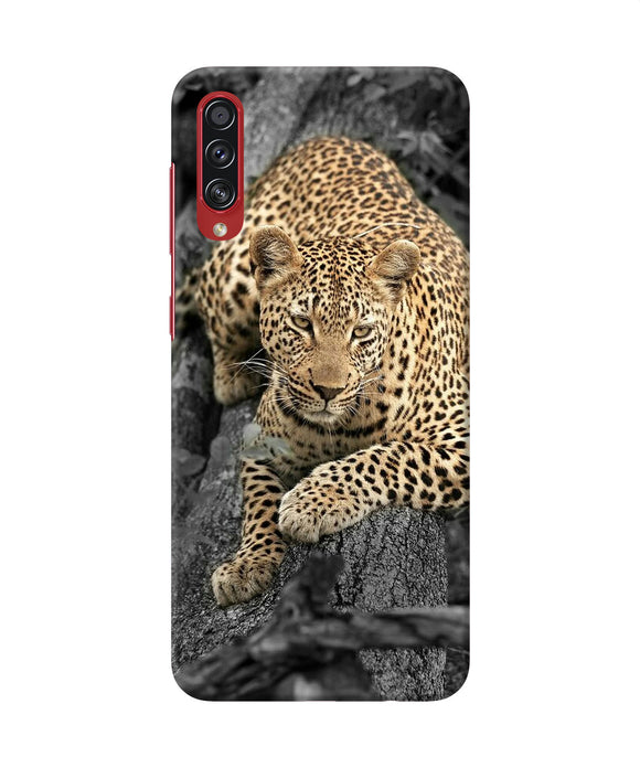 Sitting leopard Samsung A70s Back Cover