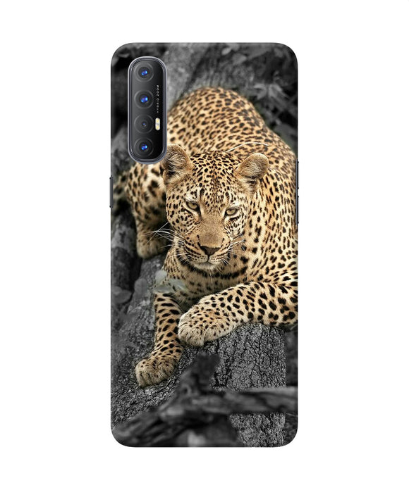 Sitting leopard Oppo Reno3 Pro Back Cover