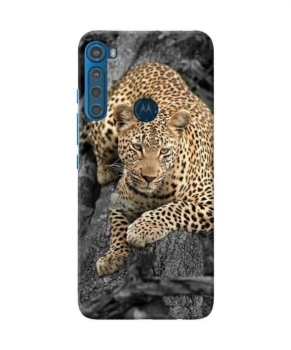 Sitting leopard Motorola One Fusion Plus Back Cover