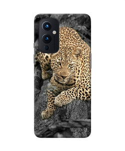 Sitting leopard Oneplus 9 Back Cover