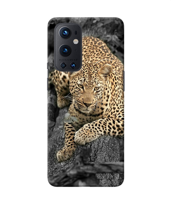 Sitting leopard Oneplus 9 Pro Back Cover