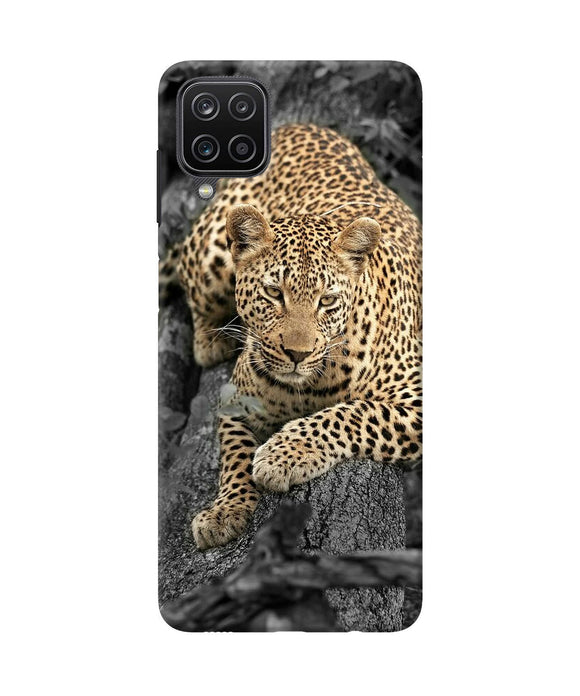 Sitting leopard Samsung M12 / F12 Back Cover