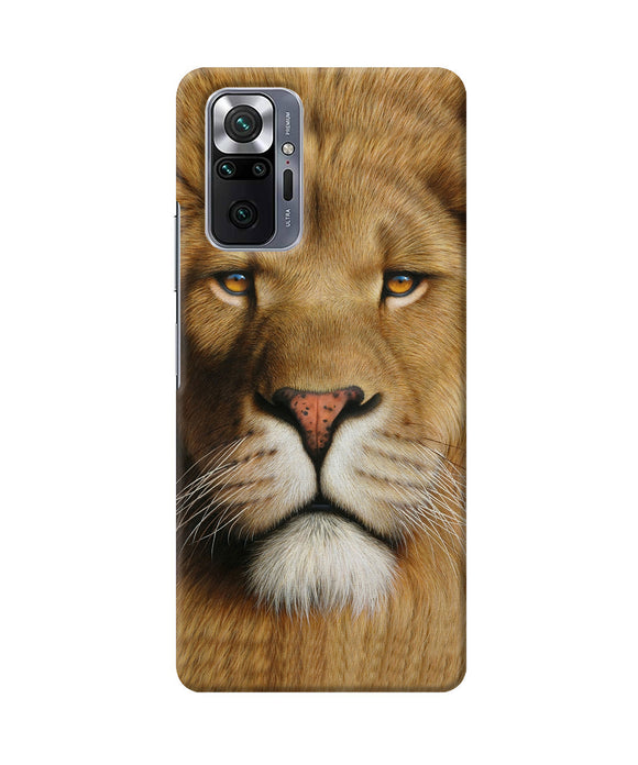 Nature lion poster Redmi Note 10 Pro Back Cover