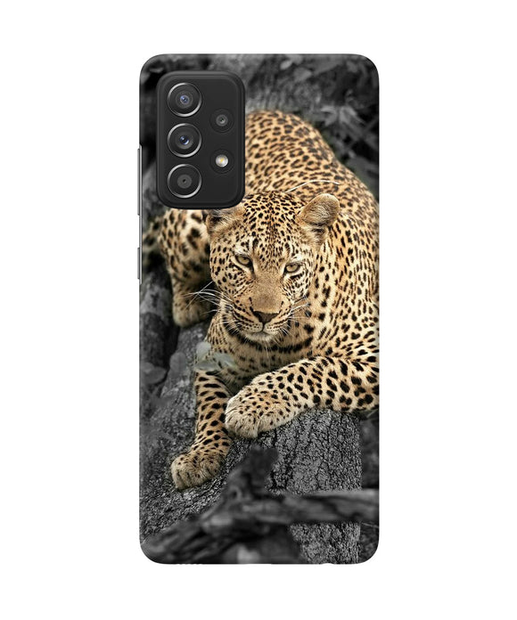 Sitting leopard Samsung A52 Back Cover