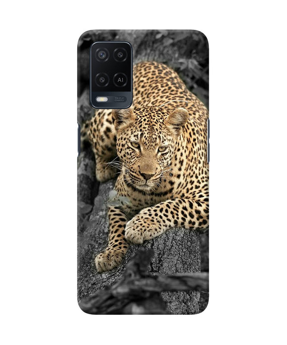 Sitting leopard Oppo A54 Back Cover