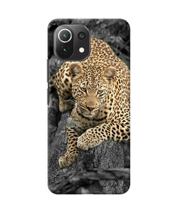 Sitting leopard Mi 11 Lite Back Cover