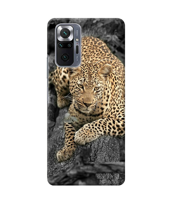 Sitting leopard Redmi Note 10 Pro Max Back Cover
