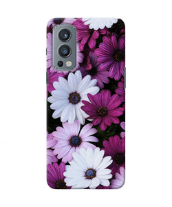 White violet flowers OnePlus Nord 2 5G Back Cover