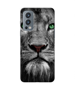 Lion poster OnePlus Nord 2 5G Back Cover