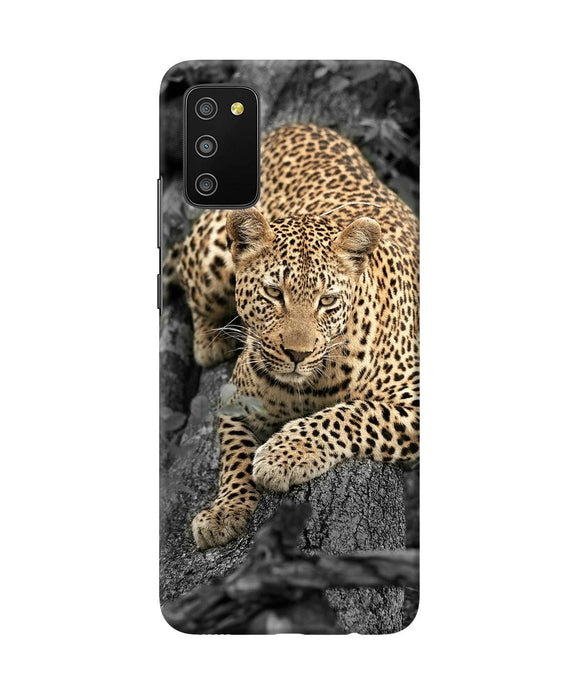 Sitting leopard Samsung M02s/A03s Back Cover