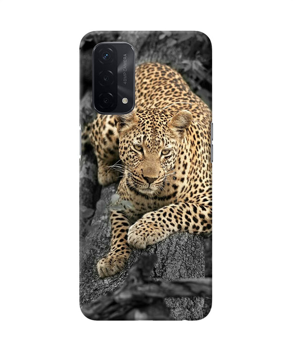 Sitting leopard Oppo A74 5G Back Cover