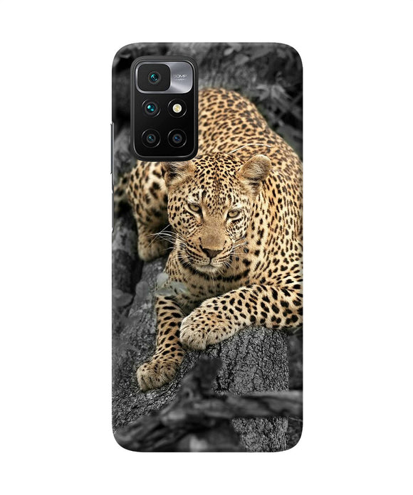 Sitting leopard Redmi 10 Prime Back Cover