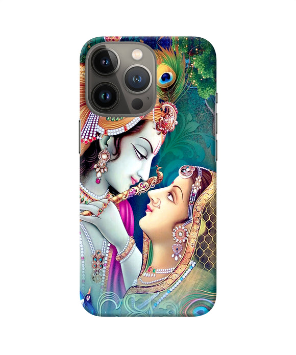 Lord radha krishna paint iPhone 13 Pro Back Cover