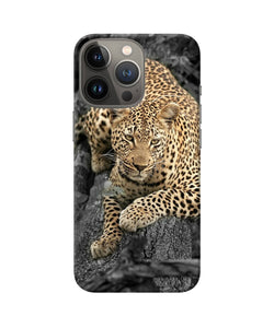 Sitting leopard iPhone 13 Pro Back Cover