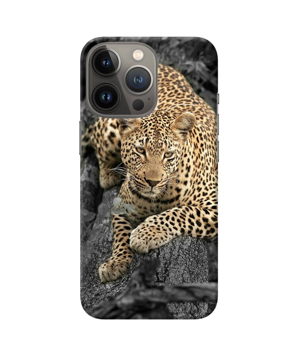 Sitting leopard iPhone 13 Pro Back Cover