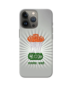 Satyamev Jayate Art iPhone 13 Pro Max Back Cover