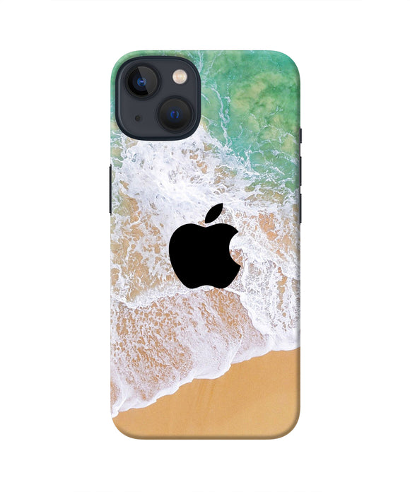 Apple Ocean iPhone 13 Mini Real 4D Back Cover